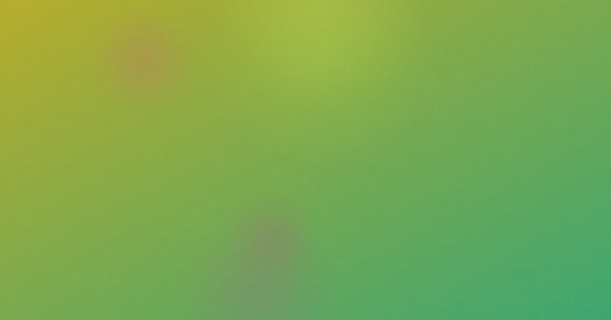 欢欢的童年推荐：新手对比